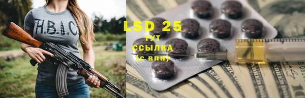 ПСИЛОЦИБИНОВЫЕ ГРИБЫ Волоколамск