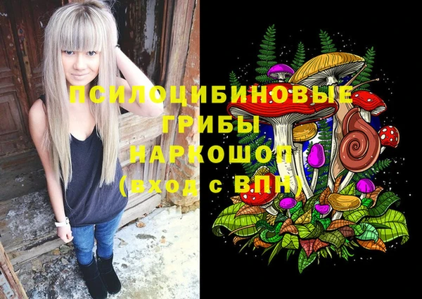ПСИЛОЦИБИНОВЫЕ ГРИБЫ Билибино