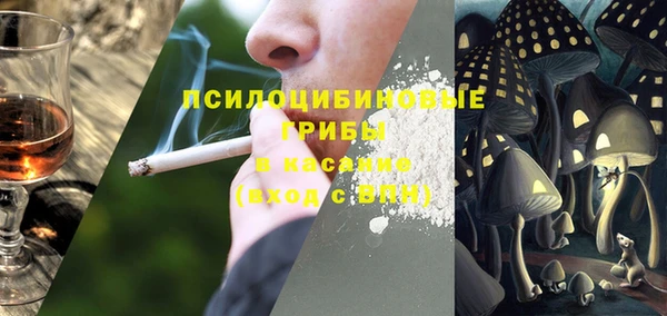 ПСИЛОЦИБИНОВЫЕ ГРИБЫ Волоколамск